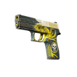 StatTrak™ P250 | Wingshot (Battle-Scarred)