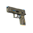P250 | Exchanger (Minimal Wear)