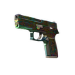 StatTrak™ P250 | Visions